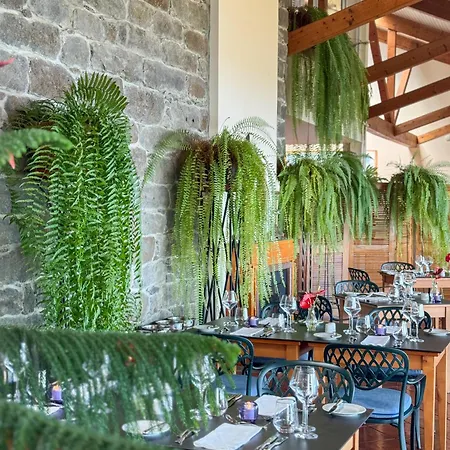 Albatroz & Yacht Club Σάντα Κρουζ