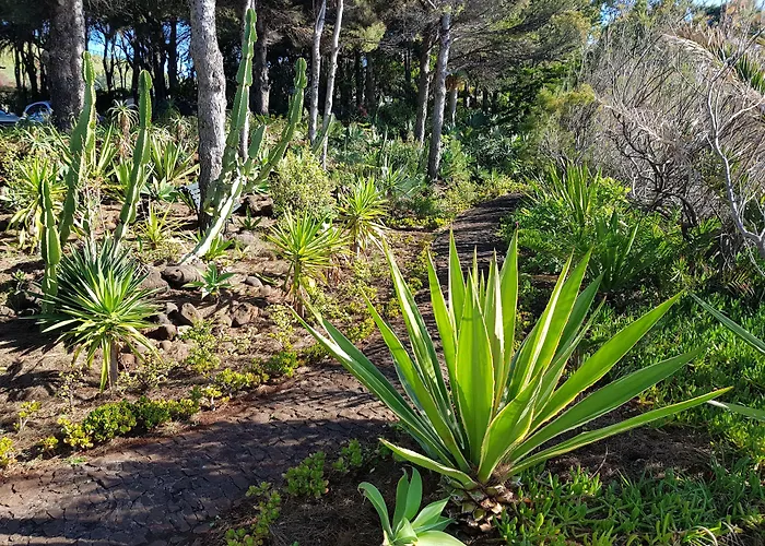 ホテル Albatroz & Yacht Club サンタ・クルーズ