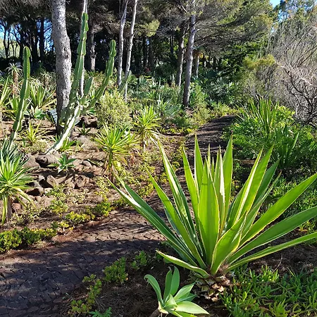 Hotell Albatroz & Yacht Club Santa Cruz (Madeira)